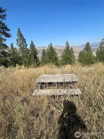 0 Reevas Basin Road Tonasket WA 98855