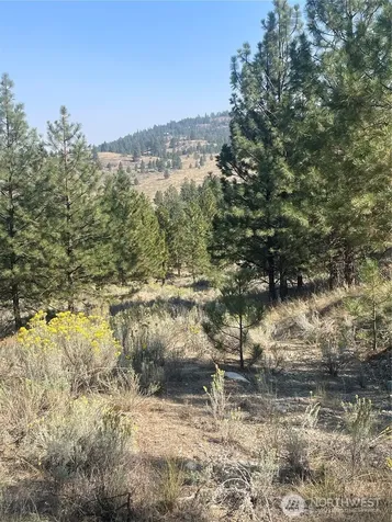 0 Reevas Basin Road Tonasket WA 98855