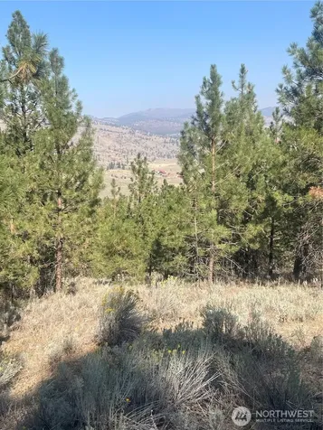 0 Reevas Basin Road Tonasket WA 98855
