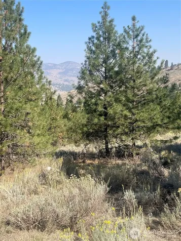 0 Reevas Basin Road Tonasket WA 98855