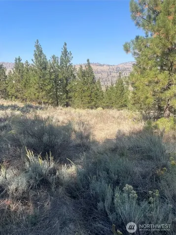 0 Reevas Basin Road Tonasket WA 98855
