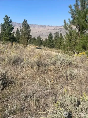 0 Reevas Basin Road Tonasket WA 98855