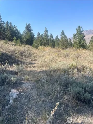 0 Reevas Basin Road Tonasket WA 98855