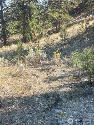 0 Reevas Basin Road Tonasket WA 98855