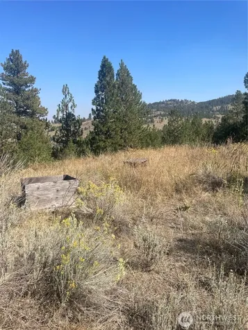 0 Reevas Basin Road Tonasket WA 98855