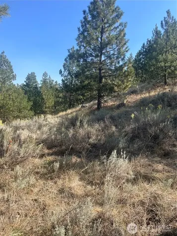0 Reevas Basin Road Tonasket WA 98855
