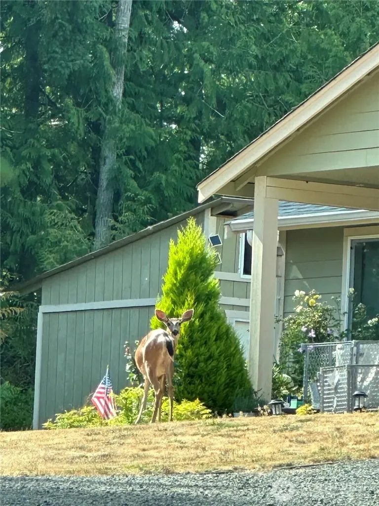 8205 Hide A Way Lane NW Silverdale WA 98383