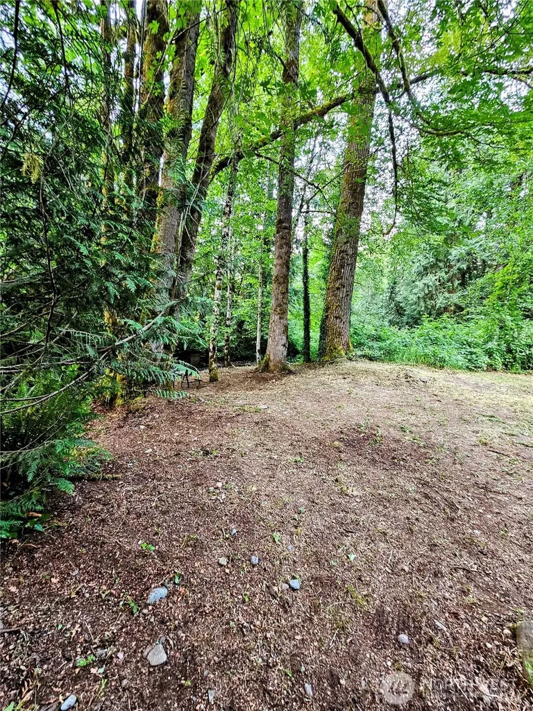 23618 SE Tiger Mountain Road Issaquah WA 98027
