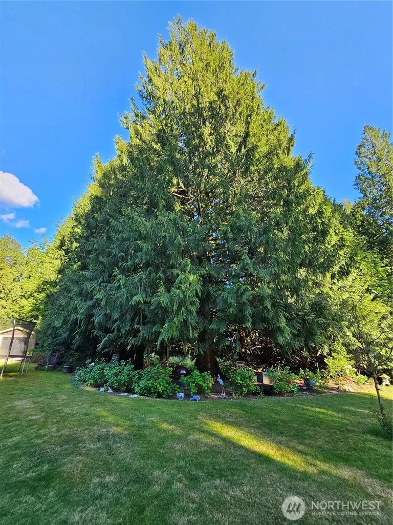 23618 SE Tiger Mountain Road Issaquah WA 98027