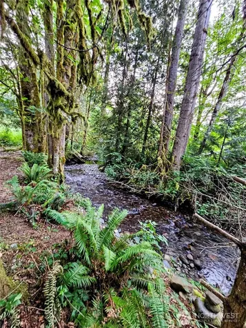 23618 SE Tiger Mountain Road Issaquah WA 98027