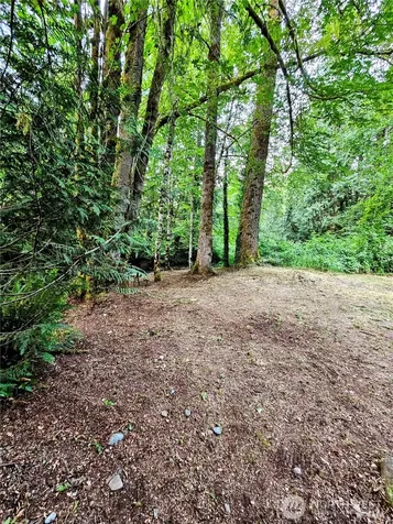 23618 SE Tiger Mountain Road Issaquah WA 98027