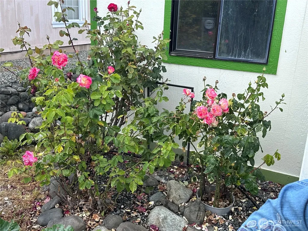 325 N 5th Avenue Sequim WA 98382