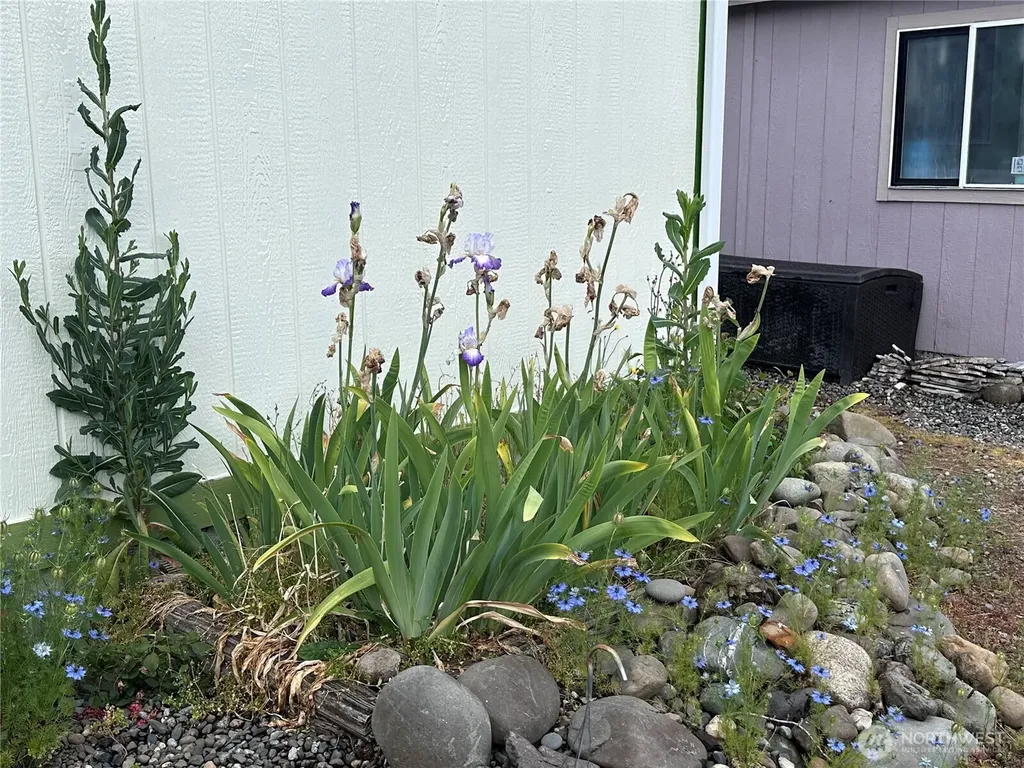 325 N 5th Avenue Sequim WA 98382