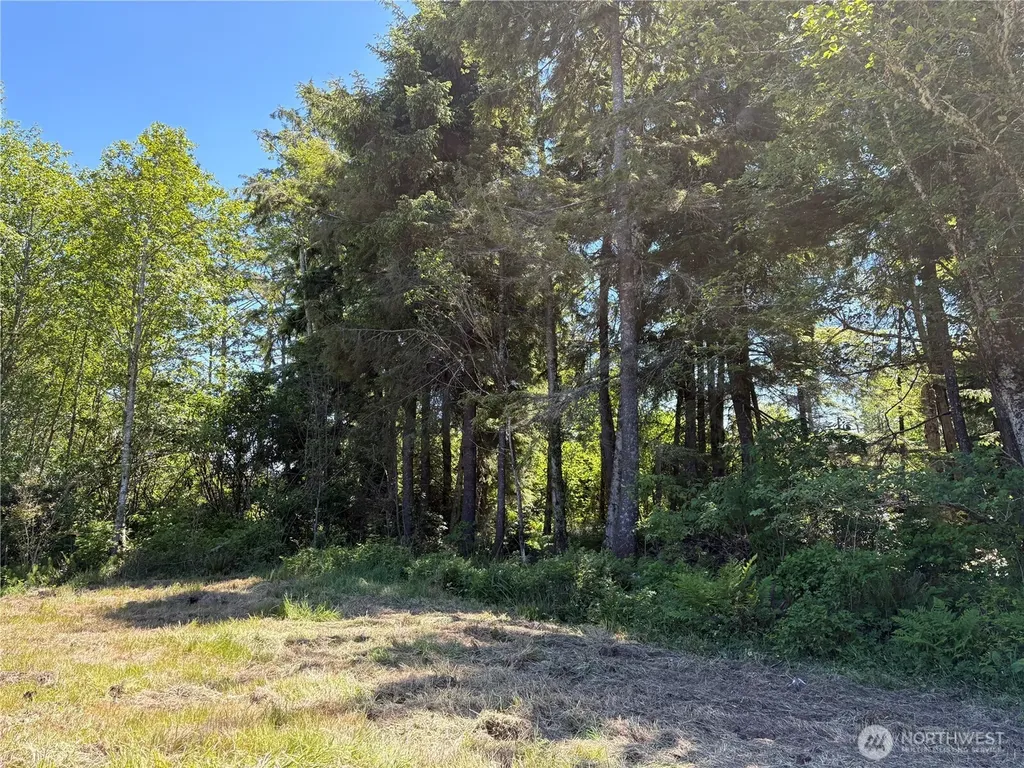 125 Damon Road Hoquiam WA 98550