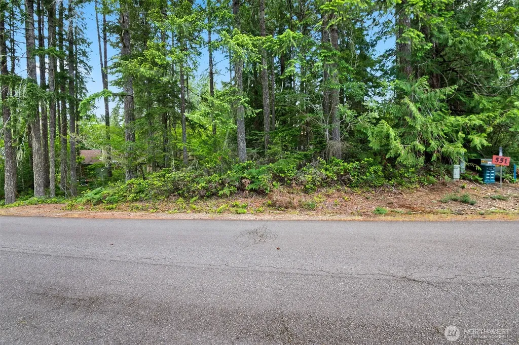 531 N Fairway Drive W Hoodsport WA 98548
