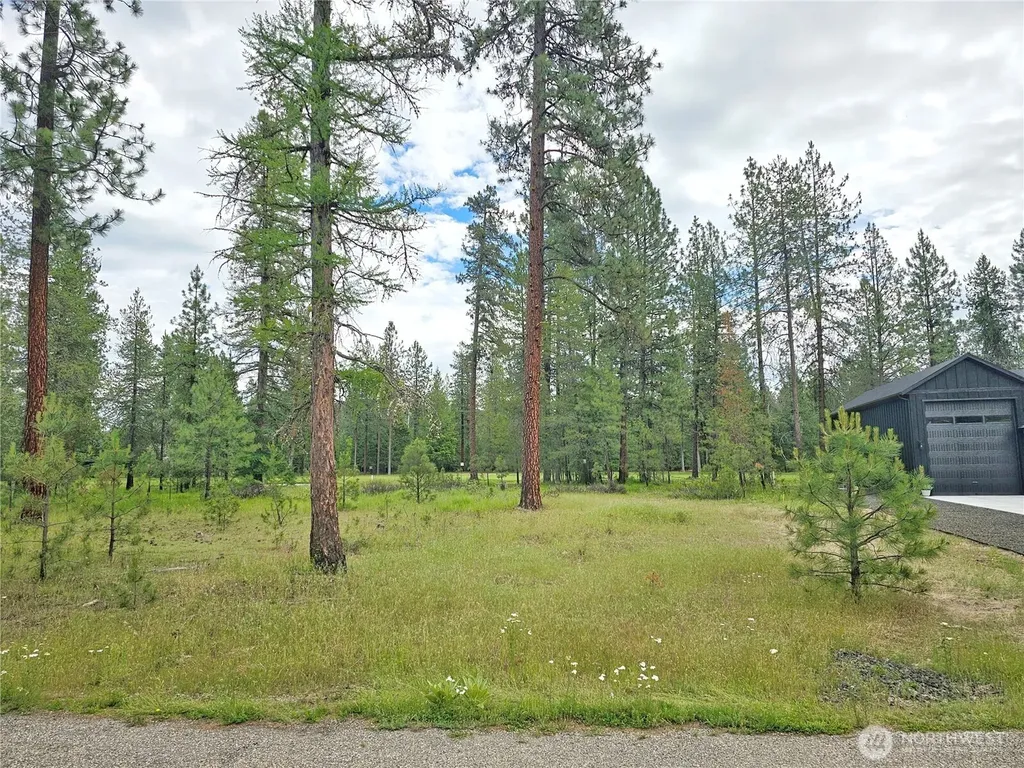 400 Lot 9 Couples Court Chewelah WA 99109
