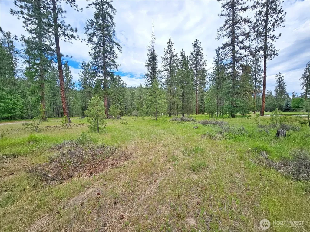 400 Lot 9 Couples Court Chewelah WA 99109