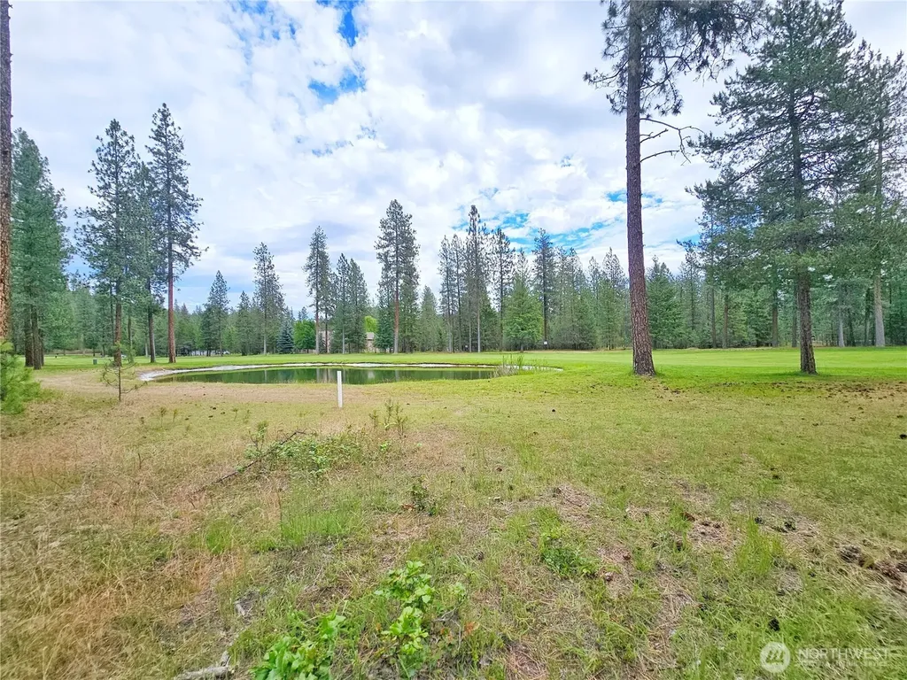 400 Lot 9 Couples Court Chewelah WA 99109