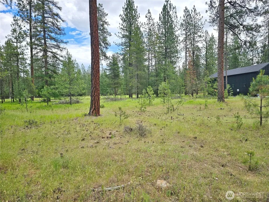 400 Lot 9 Couples Court Chewelah WA 99109