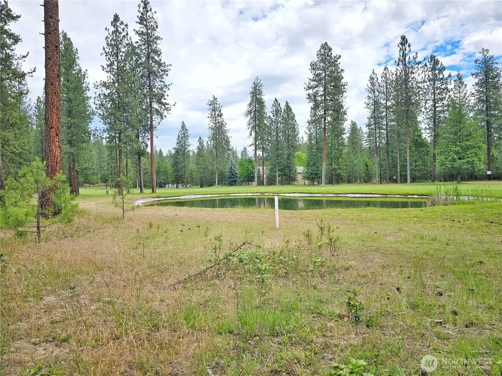 400 Lot 9 Couples Court Chewelah WA 99109