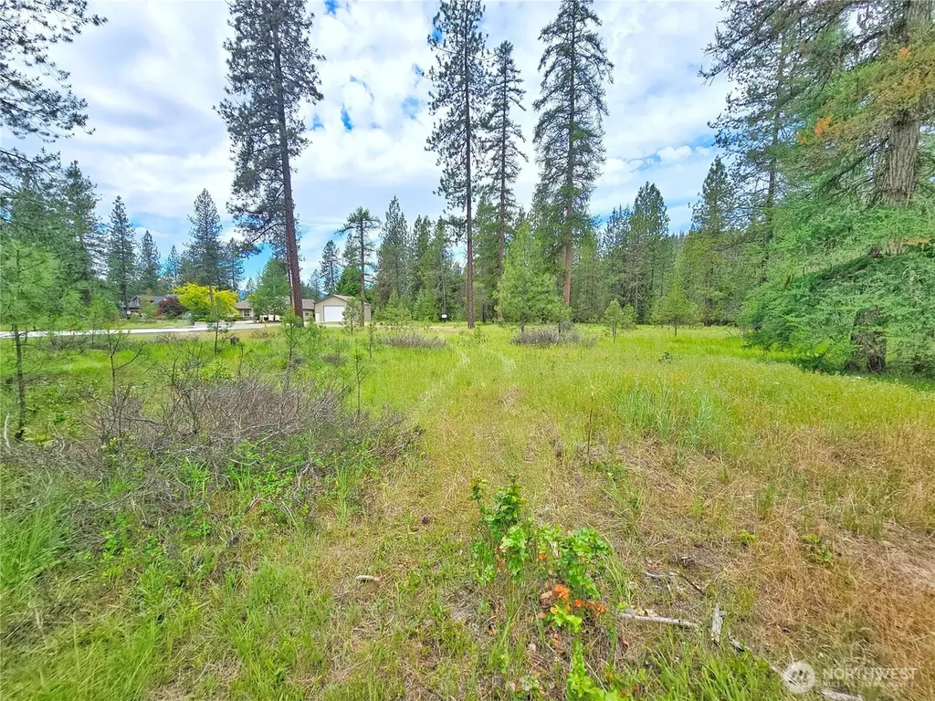 400 Lot 9 Couples Court Chewelah WA 99109