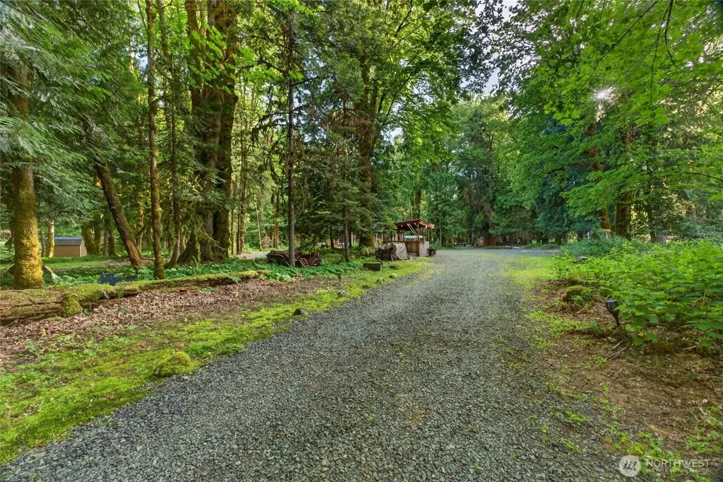 128 Riverview Drive Packwood WA 98361