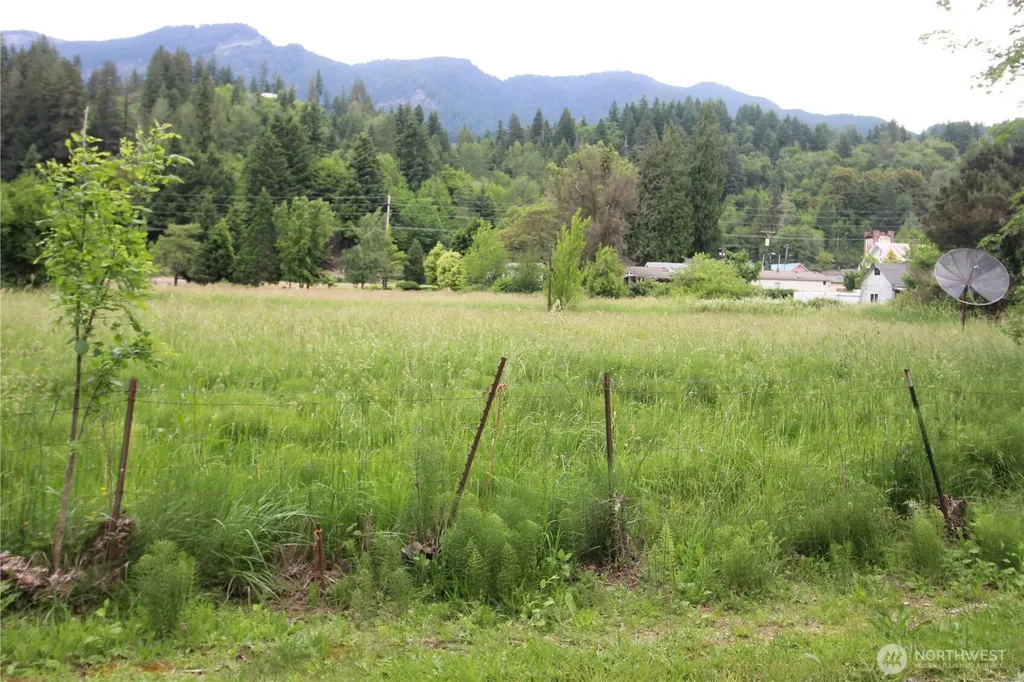 124 Mckay Randle WA 98377