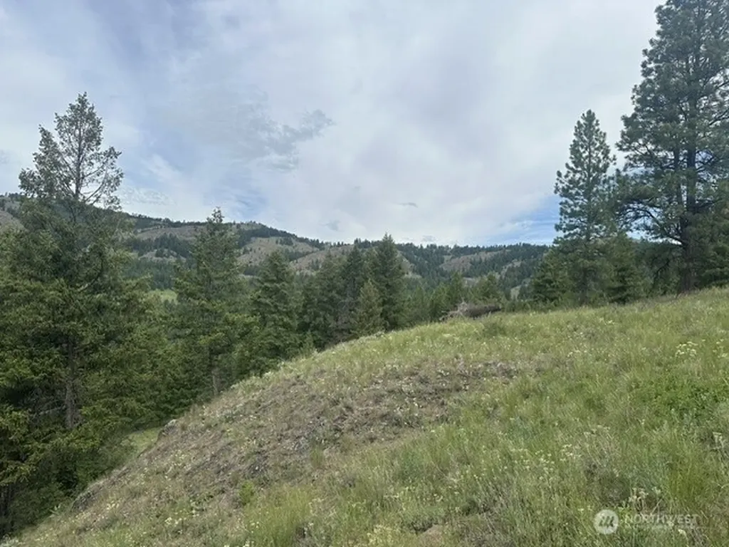 117 Two Horse Road Wauconda WA 98859