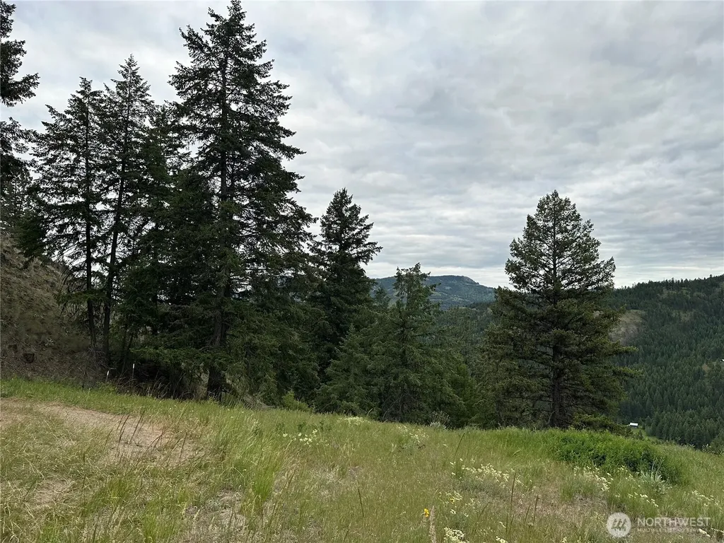117 Two Horse Road Wauconda WA 98859