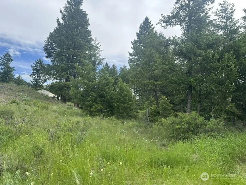 117 Two Horse Road Wauconda WA 98859