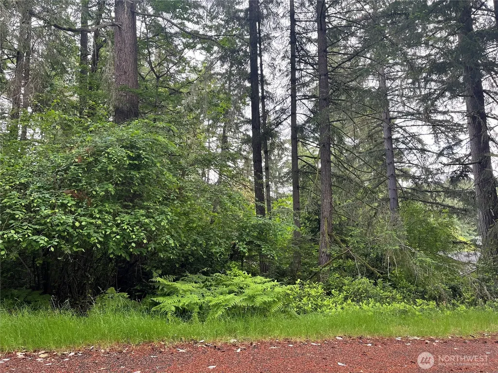 11111 Juniper Place Anderson Island WA 98303