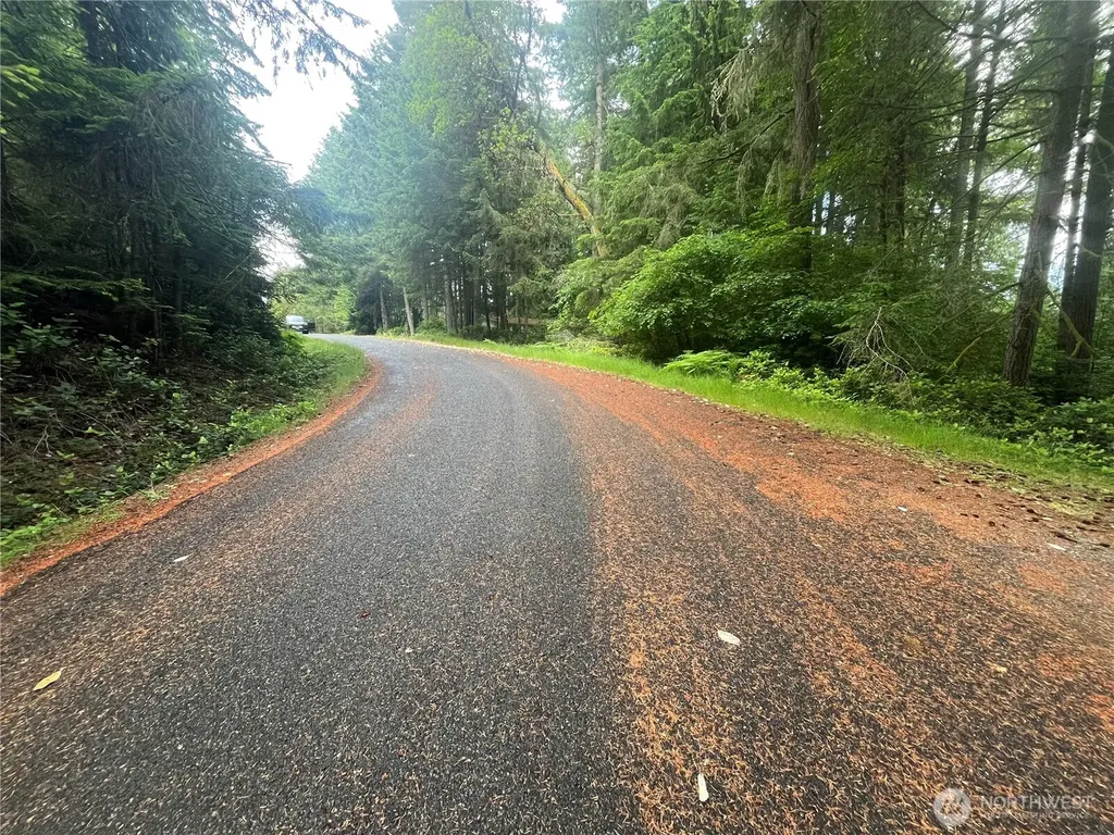 11111 Juniper Place Anderson Island WA 98303