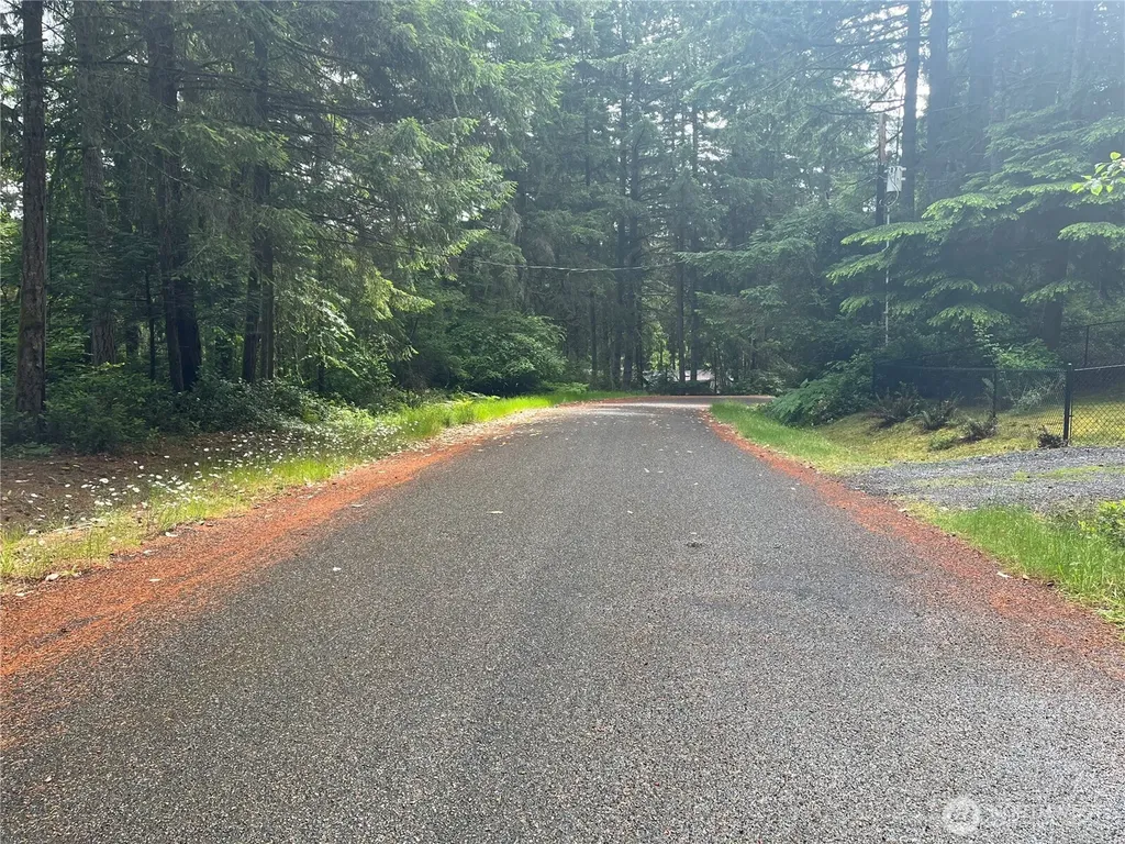 11111 Juniper Place Anderson Island WA 98303