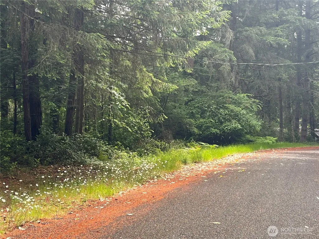11111 Juniper Place Anderson Island WA 98303