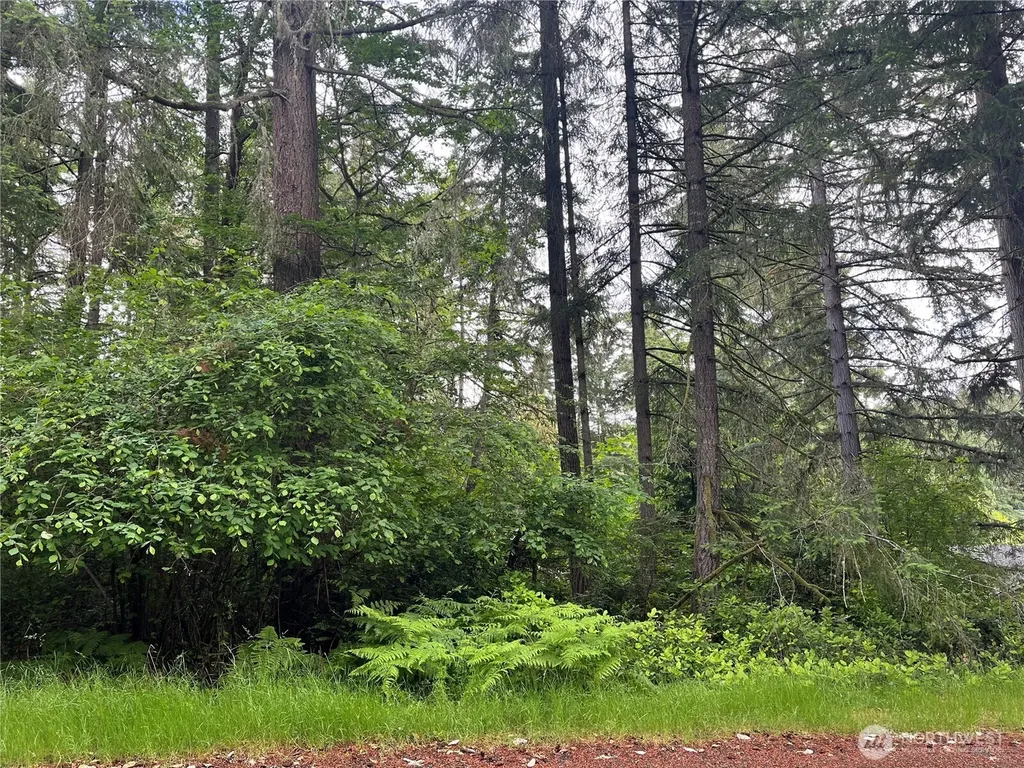 11111 Juniper Place Anderson Island WA 98303