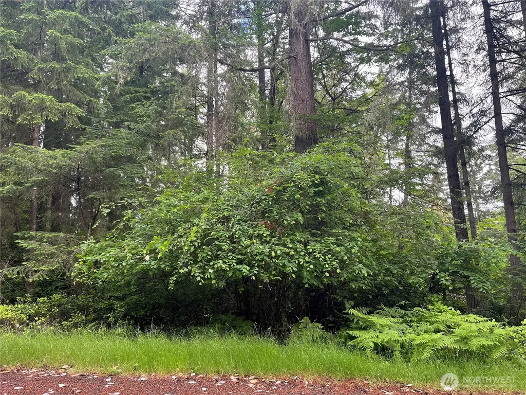 11111 Juniper Place Anderson Island WA 98303