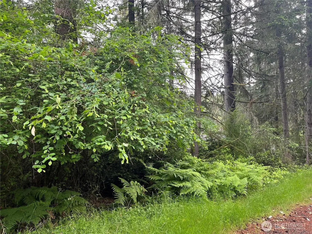 11111 Juniper Place Anderson Island WA 98303