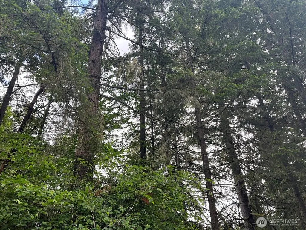 11111 Juniper Place Anderson Island WA 98303