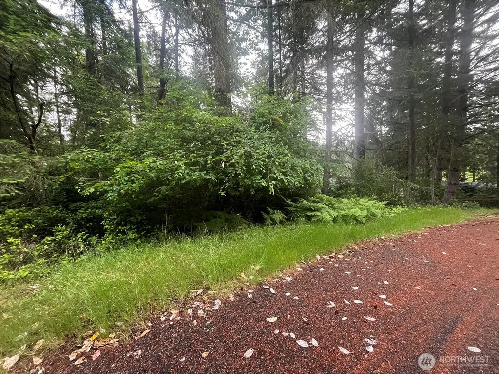 11111 Juniper Place Anderson Island WA 98303