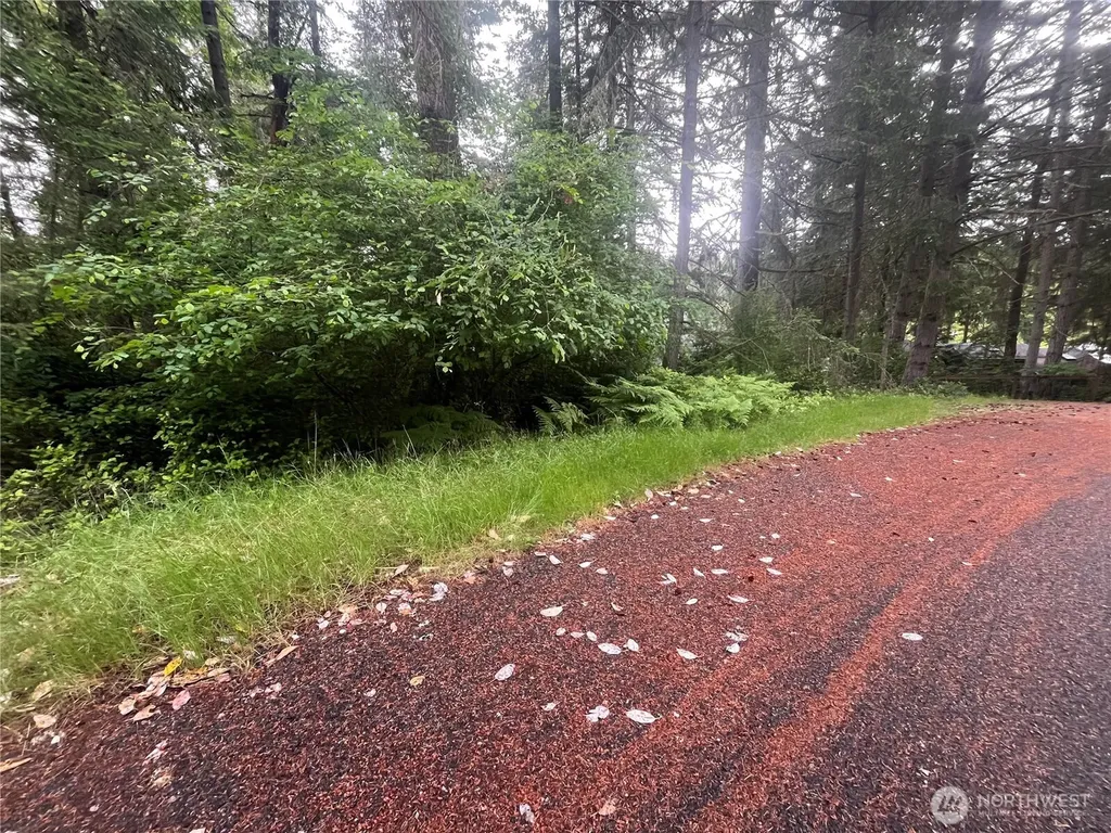 11111 Juniper Place Anderson Island WA 98303