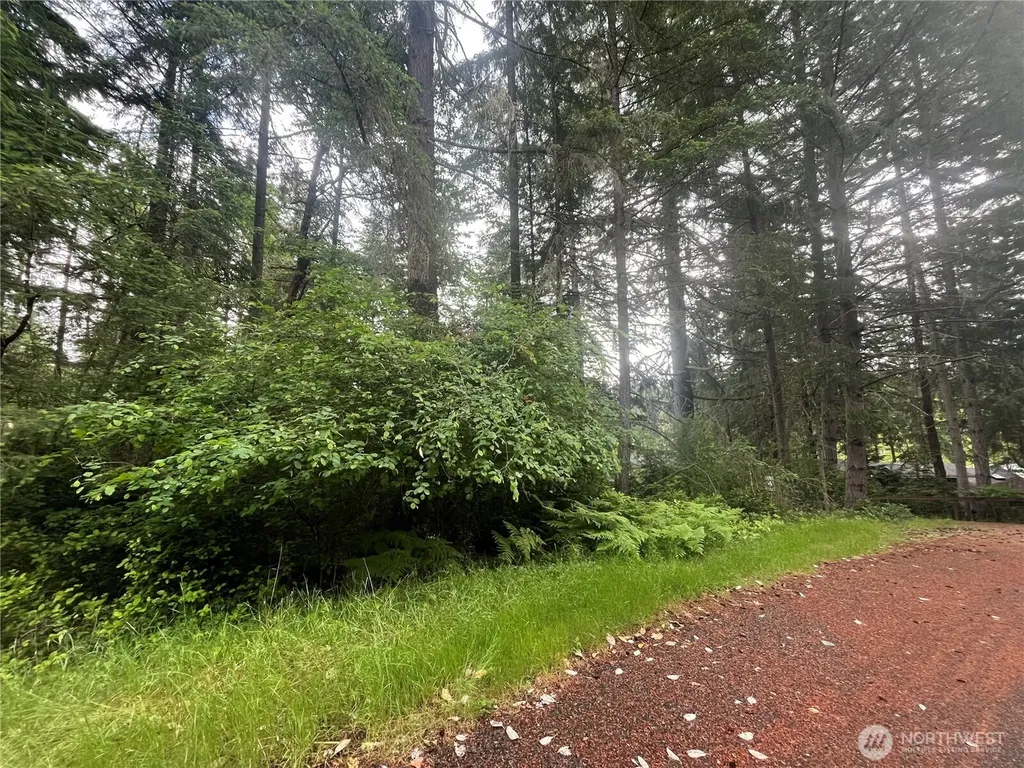 11111 Juniper Place Anderson Island WA 98303