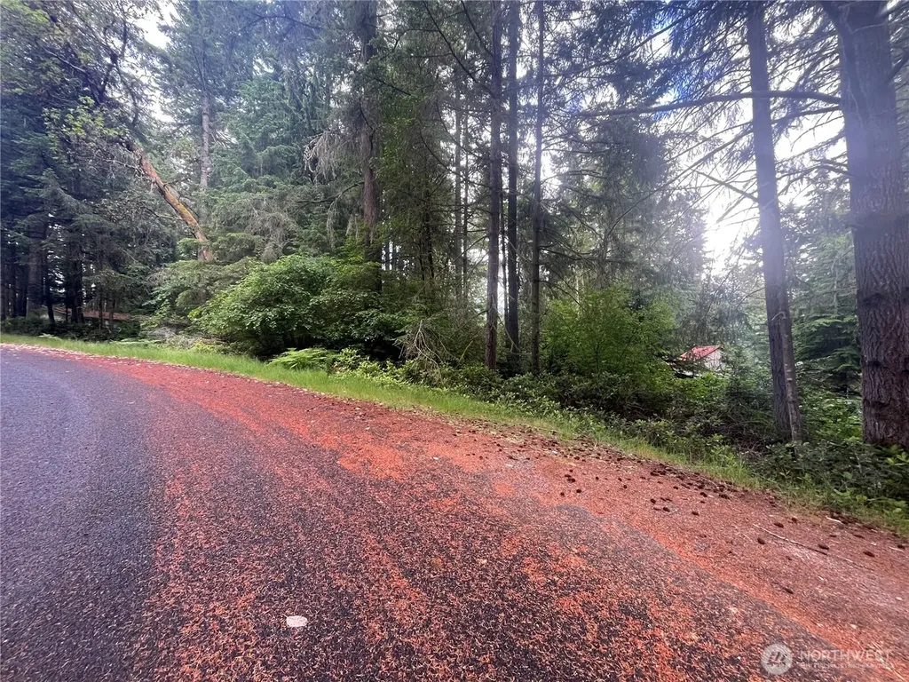 11111 Juniper Place Anderson Island WA 98303