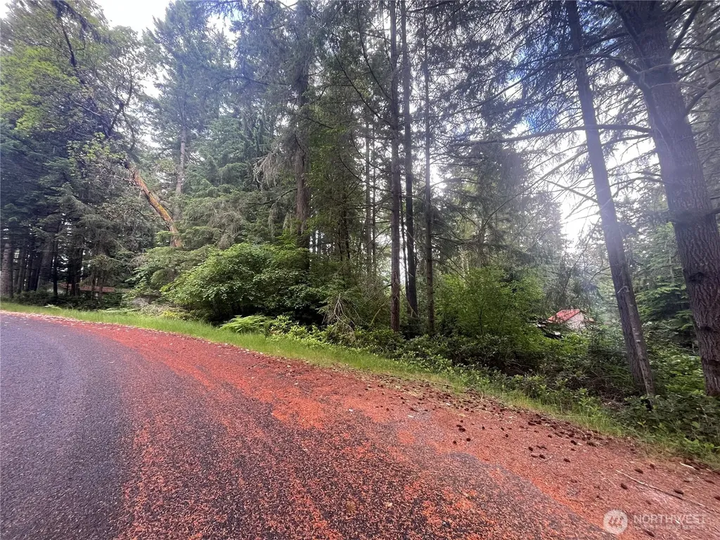 11111 Juniper Place Anderson Island WA 98303