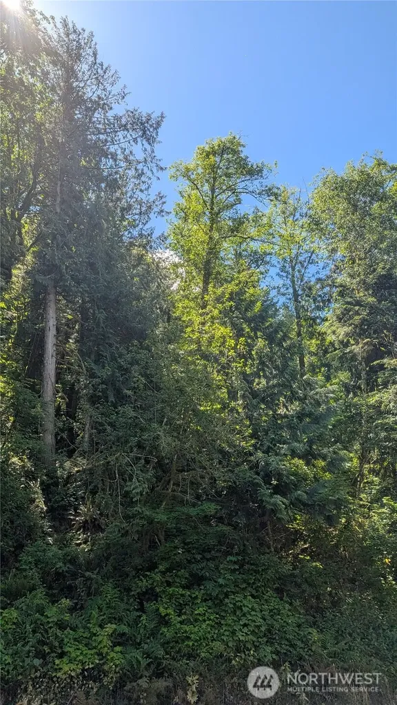 0 St. Route 508 Highway Morton WA 98356