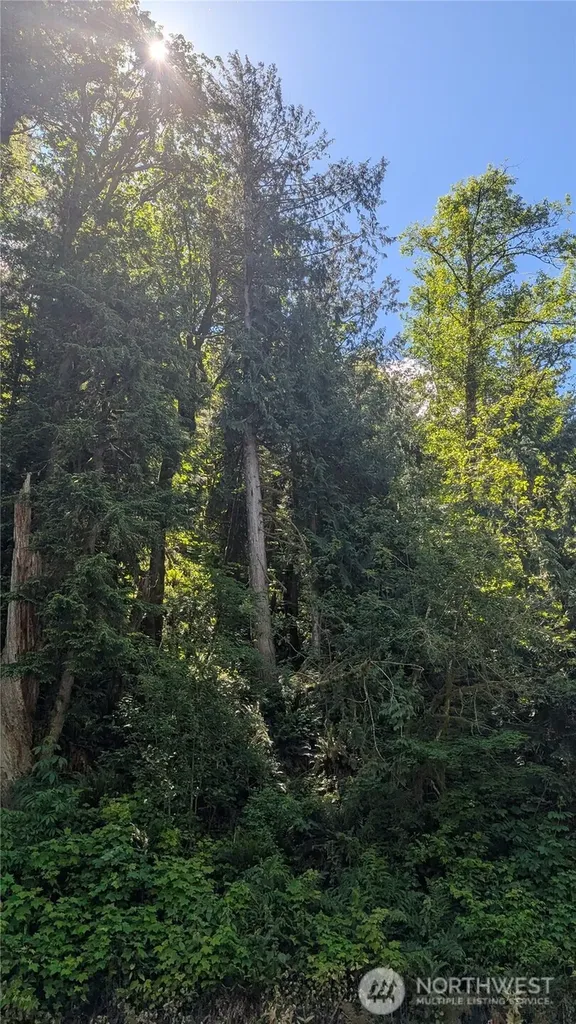0 St. Route 508 Highway Morton WA 98356