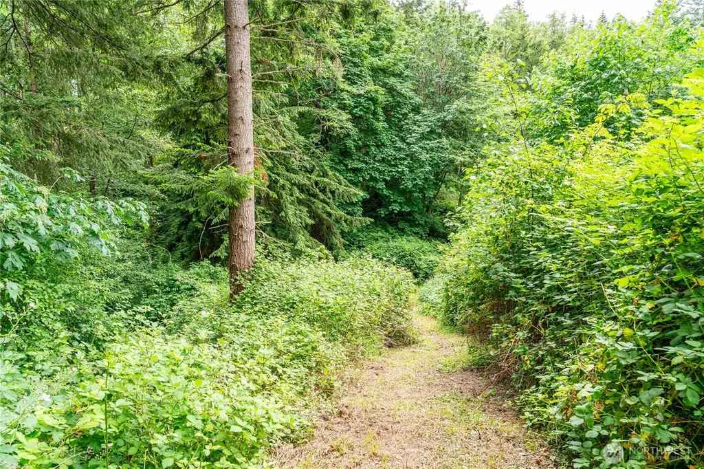 315 Solar Way Camano Island WA 98282
