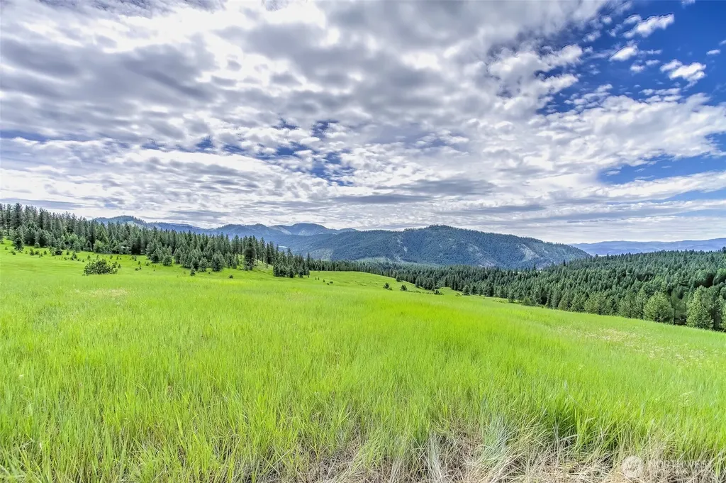 3610 Breckenridge Road Rice WA 99167