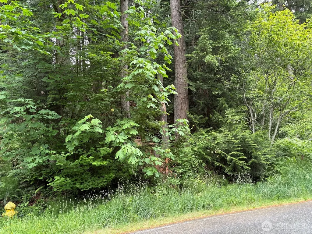69 Honeycomb Lane Bellingham WA 98229