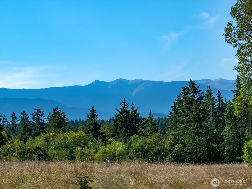 9999 Olympic Meadows Parcel 10 Port Angeles WA 98362