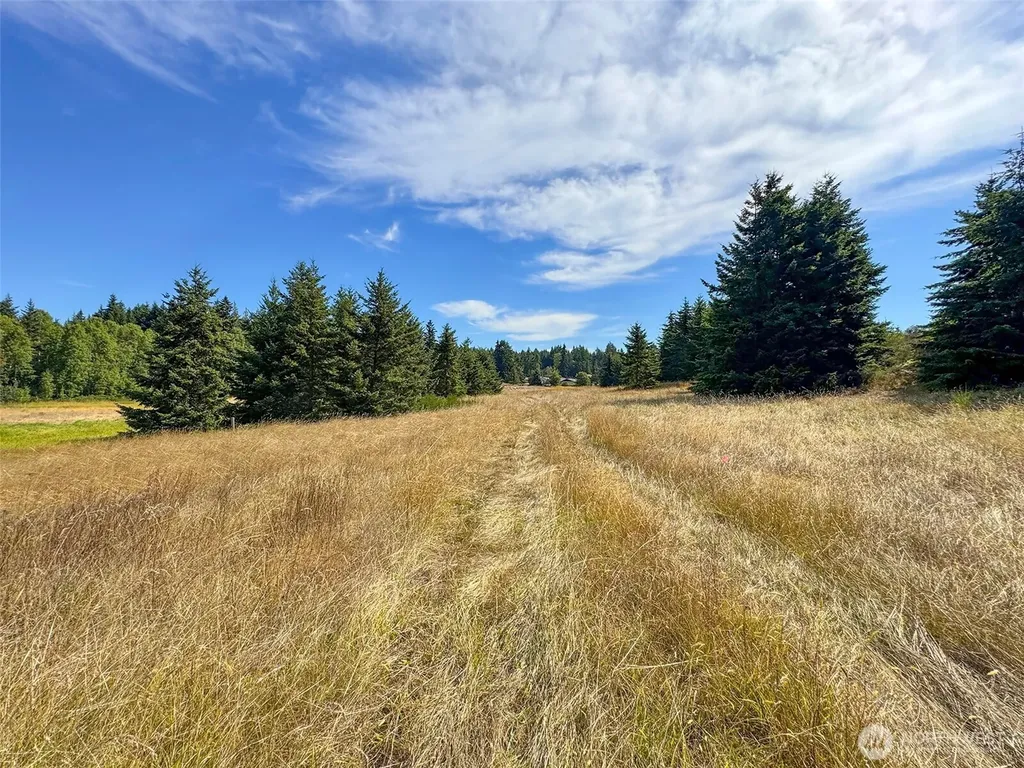 9999 Olympic Meadows Parcel 10 Port Angeles WA 98362